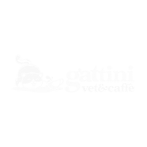 Gattini